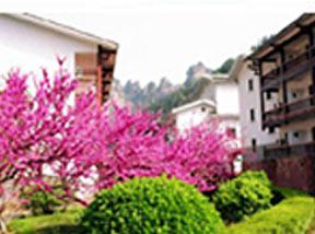 Hunan Pipaxi Hotel Zhangjiajie Eksteriør billede